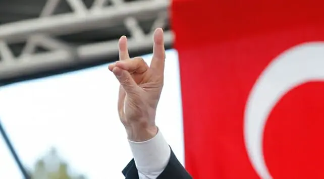 O ülke 'Bozkurt' işaretini yasakladı