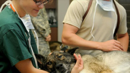 Bu bölümleri seçenler işsiz kalmıyor!
