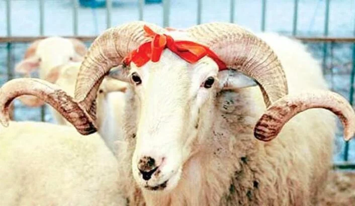 Bayramın son günü kurban kesilir mi?
