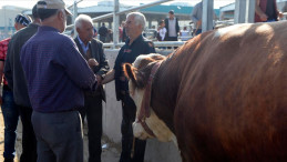 Kurban pazarları dolup taşıyor