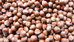 Fındık üreticisine ödeme müjdesi