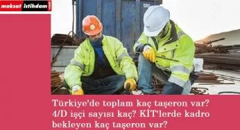 Türkiye'de kadro alan veya alamayan toplam kaç taşeron var?