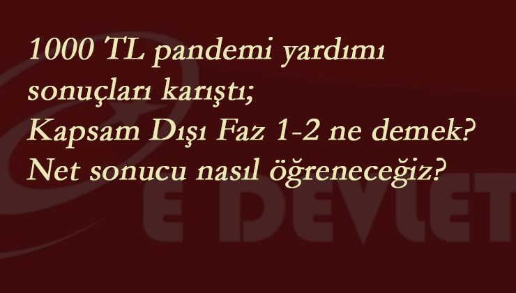 1000 TL pandemi yardımı: Kapsam Dışı (Faz 1-2) ne demek? Süreç devam ediyor ne demek?