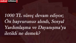 1000 TL yardım sorgulama: Ön başvurunuz alındı, Sosyal Yardımlaşma ve Dayanışma Vakfı'na iletildi ne demek?
