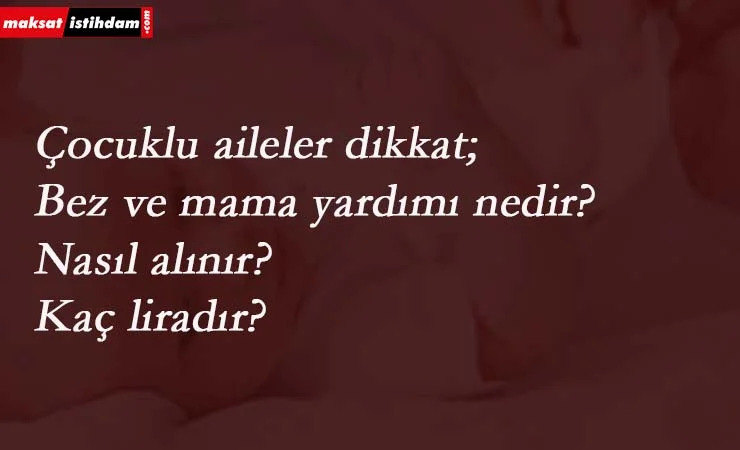 Annelere bez ve mama yardımı nedir? Nasıl alınır? Kaç lira?