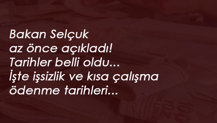 Haziran 2020 işsizlik maaşı ve kısa çalışma ödeneği yattı mı? Sorgulama sayfası