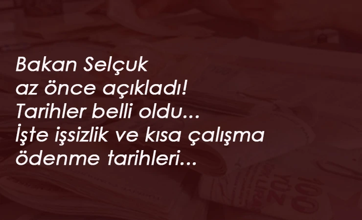 Haziran 2020 işsizlik maaşı ve kısa çalışma ödeneği yattı mı? Sorgulama sayfası
