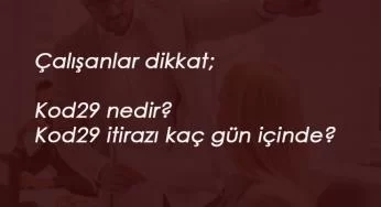 Çalışanlar dikkat: Kod29 işsizlik maaşı ve tazminat alamıyor