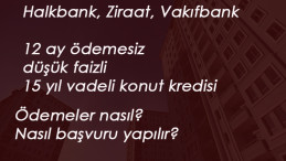 12 ay ödemesiz konut kredisi başvurusu nasıl yapılır?