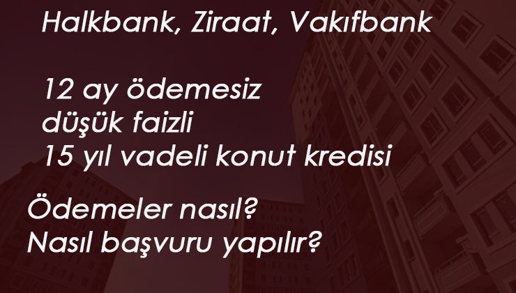 12 ay ödemesiz konut kredisi başvurusu nasıl yapılır?