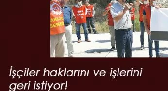 Muğla'da işten atılan 10 kişi görevini istiyor