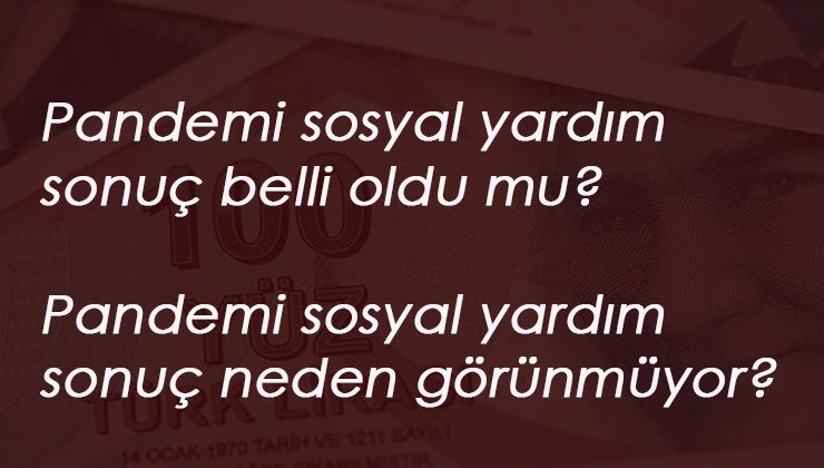 Pandemi Yardım Sonuç belli oldu mu? Pandemi yardım sonucum neden görünmüyor?