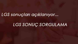 LGS sonuç sorgulama 2020 | LGS sonuçları açıklanıyor