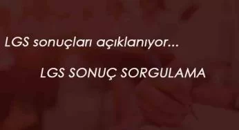 LGS sonuç sorgulama 2020 | LGS sonuçları açıklanıyor