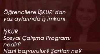 İŞKUR Sosyal Çalışma Programı nedir? Nasıl başvurulur? Öğrencilere yaz ayında iş!