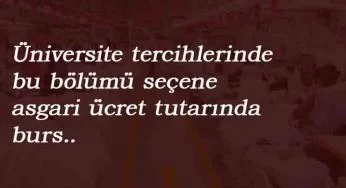 Bu bölümü seçen üniversite öğrencisi burs alabilecek: İşte şartları