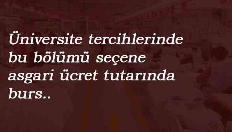 Bu bölümü seçen üniversite öğrencisi burs alabilecek: İşte şartları