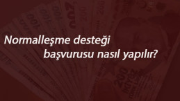 Normalleşme desteği başvurusu nasıl yapılacak?