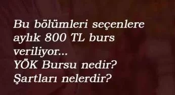 YÖK Bursu hangi bölümlere verilecek? YÖK Destek Programı kapsamında burs alacak bölümler