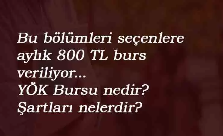 YÖK Bursu hangi bölümlere verilecek? YÖK Destek Programı kapsamında burs alacak bölümler