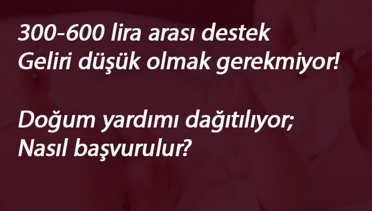 Bakan Selçuk: