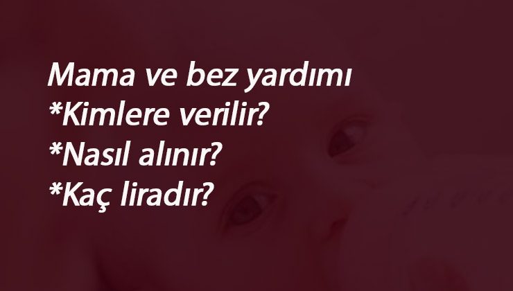 Mama ve bez yardımı kimlere verilir? Nasıl alınır? 2020 Mama ve Baz Yardımı kaç lira?
