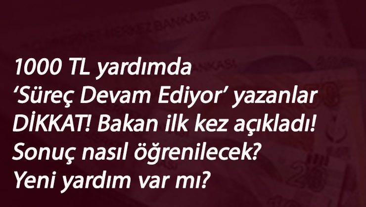 Pandemi yardımı 'Süreç Devam Ediyor' da kalanlar dikkat: Bakan açıklama yaptı