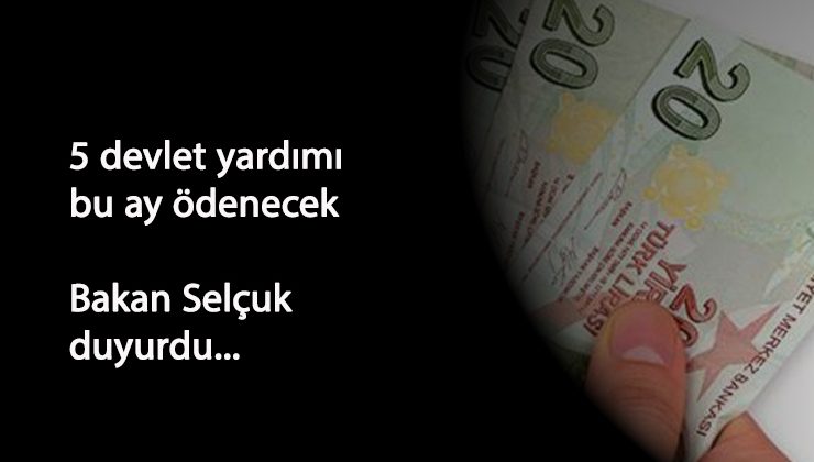 5 sosyal destek ödemesi bu ay bitmeden hesaplarda