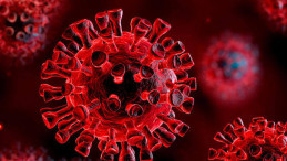 Mutasyonlu virüs hangi illerde görüldü?