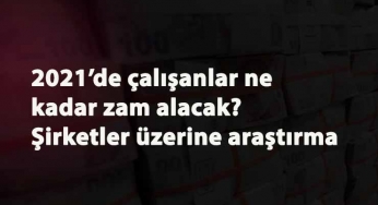 Şirketlerin çalışan maaşlarına vereceği ortalama zam belli oldu