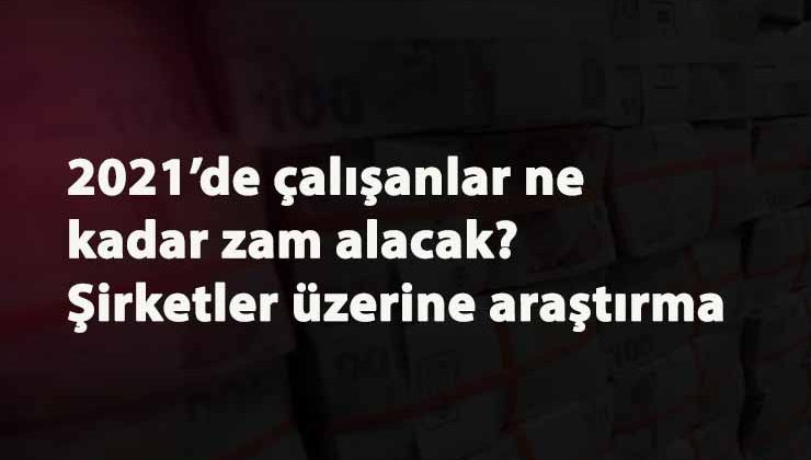 Şirketlerin çalışan maaşlarına vereceği ortalama zam belli oldu
