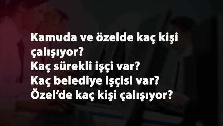 Kamuda istihdam azalıyor! İstihdam şekli değişiyor
