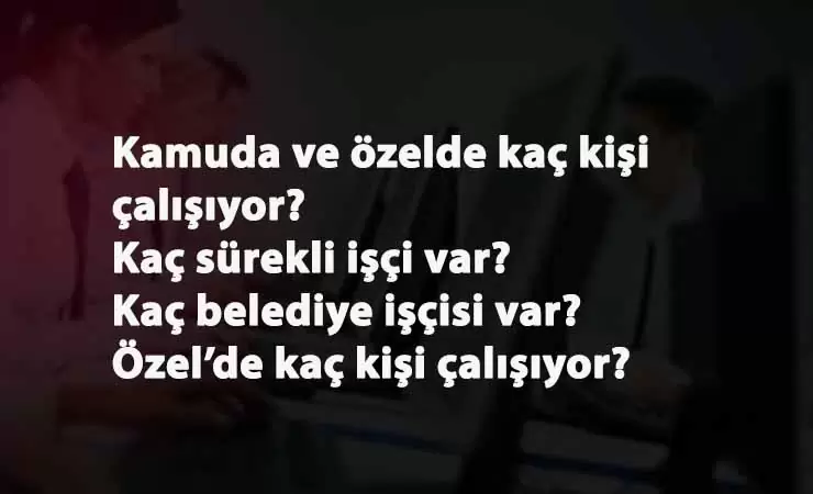 Kamuda istihdam azalıyor! İstihdam şekli değişiyor