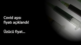 Covid-19 aşısı kaç lira olacak? Yüzde 90 işe yarayan aşının fiyatı üzdü