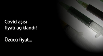 Covid-19 aşısı kaç lira olacak? Yüzde 90 işe yarayan aşının fiyatı üzdü