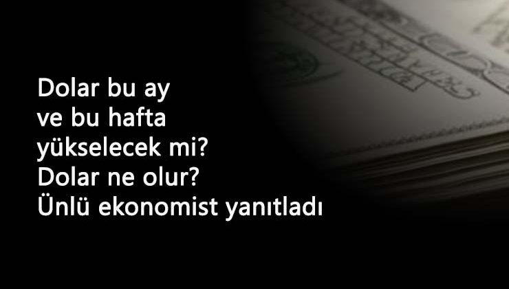 2 Kasım'dan sonra dolar ne olur? Dolar daha çok yükselir mi? Ünlü ekonomist yorumladı