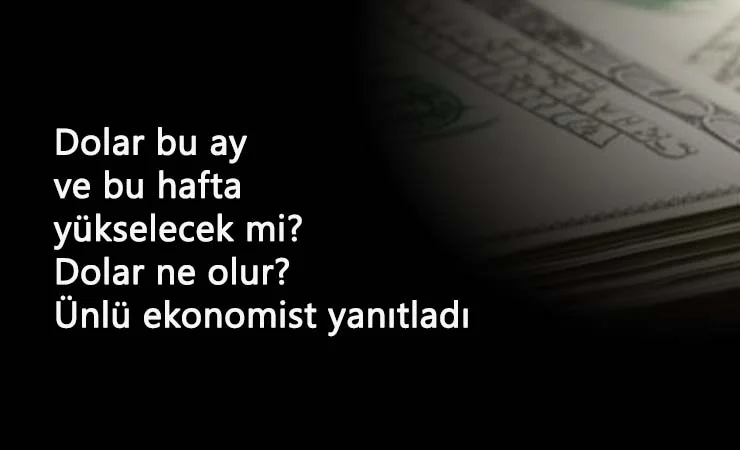 2 Kasım'dan sonra dolar ne olur? Dolar daha çok yükselir mi? Ünlü ekonomist yorumladı