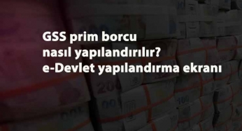 GSS borç yapılandırma ve faiz silme başvurusu nasıl yapılır? e-Devlet GSS borç yapılandırma