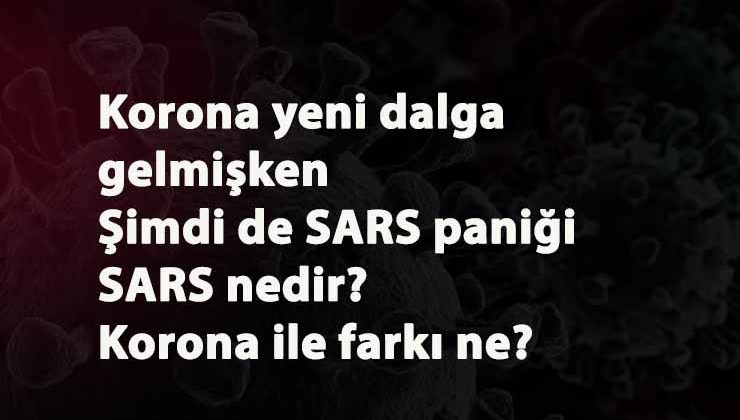 Yine Çin, yine virüs paniği: Bu sefer SARS