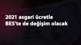 BES'te devlet katkısı değişti: 2021 BES değişimi