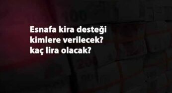 Hangi esnaflar kira desteğinden yararlanacak? Esnafa kira desteği kaç lira olacak?