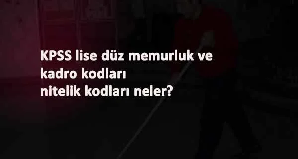 2020/2 Lise tercih robotu ve nitelik kodları: Lise düz memurluk şoförlük-hizmetli-teknisyen puanları