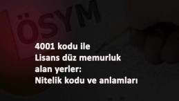 KPSS Lisans düz memurluk kadroları ve istenen nitelik kodları (4001 ile alım)