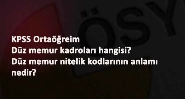 KPSS Tercihleri: Ortaöğretim 2001 kodu ile düz memurluk yerleri