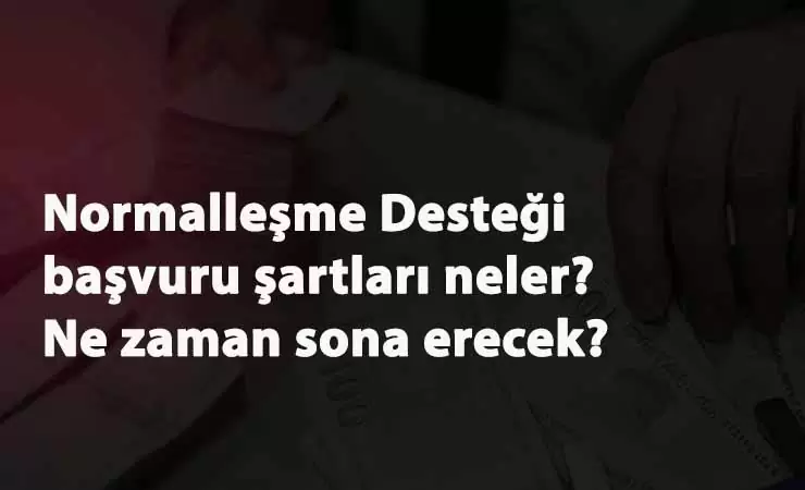Normalleşme Desteği ne zaman sona erecek? Kimler normalleşme desteği alabilir?