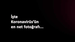 Koronavirüs'e yakından bakın: En net görüntüsü çekildi