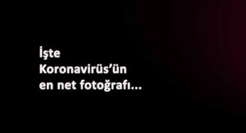 Koronavirüs'e yakından bakın: En net görüntüsü çekildi