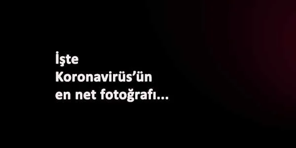Koronavirüs'e yakından bakın: En net görüntüsü çekildi