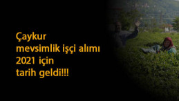 ÇAYKUR mevsimlik işçi alım tarihi geldi: İşte ilk detaylar