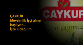 ÇAYKUR 500 kişi alacak: İl dağılımı ve başvuru yöntemi
